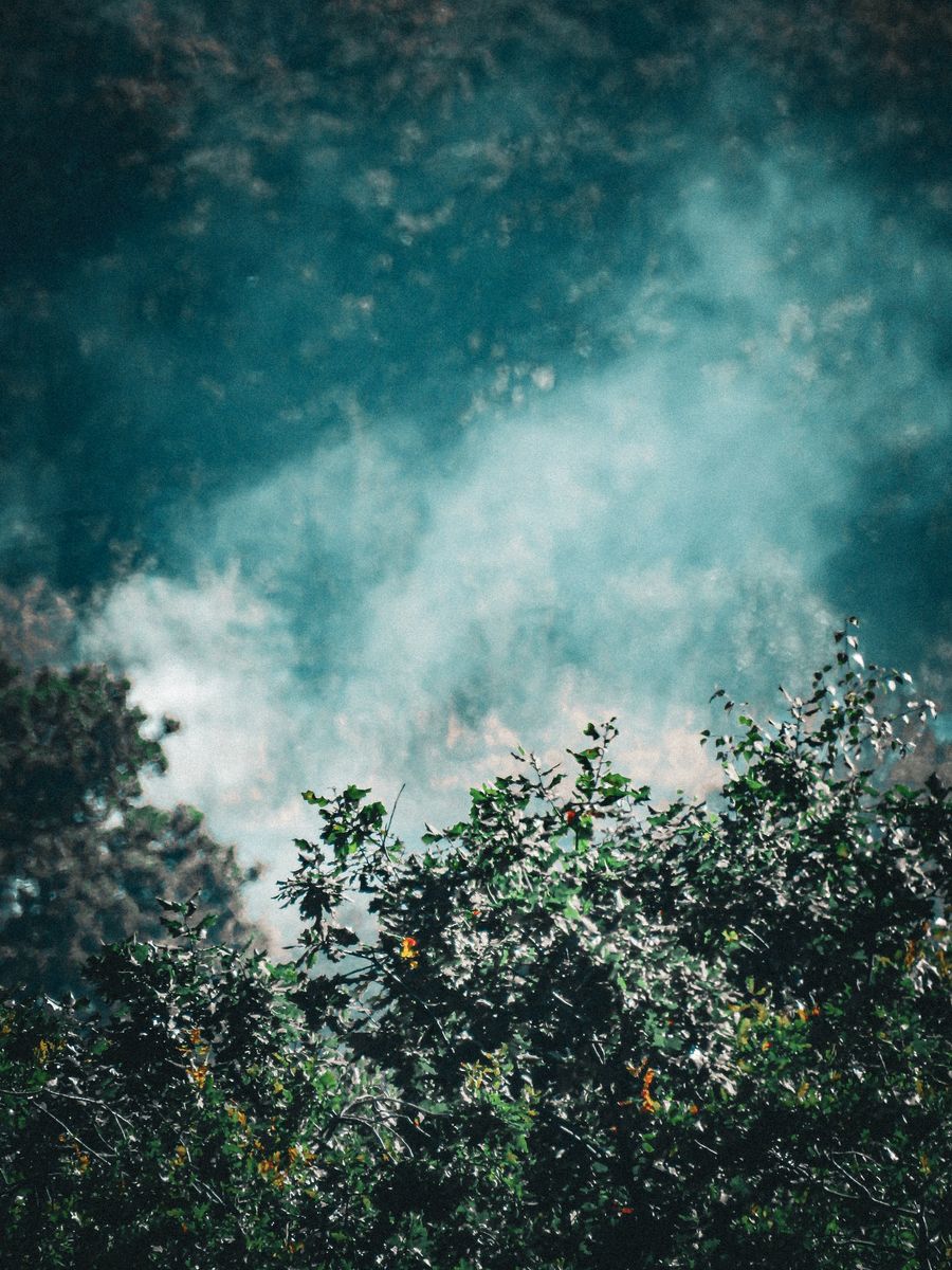 freebase e-liquid