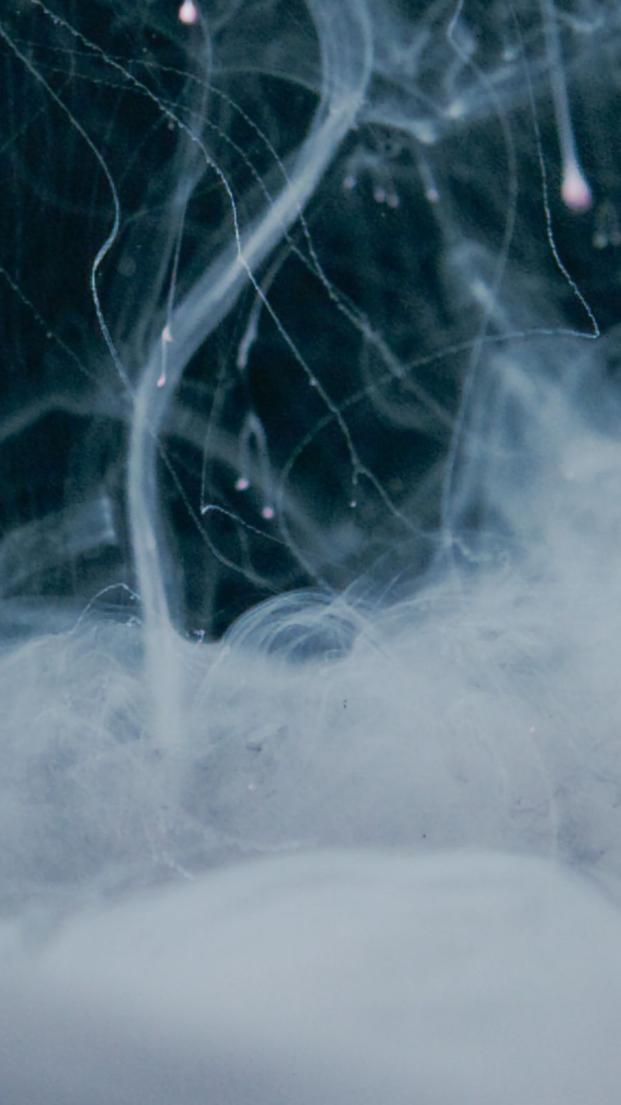 vape glass tube