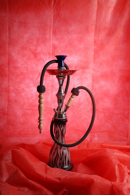 vape starter kit