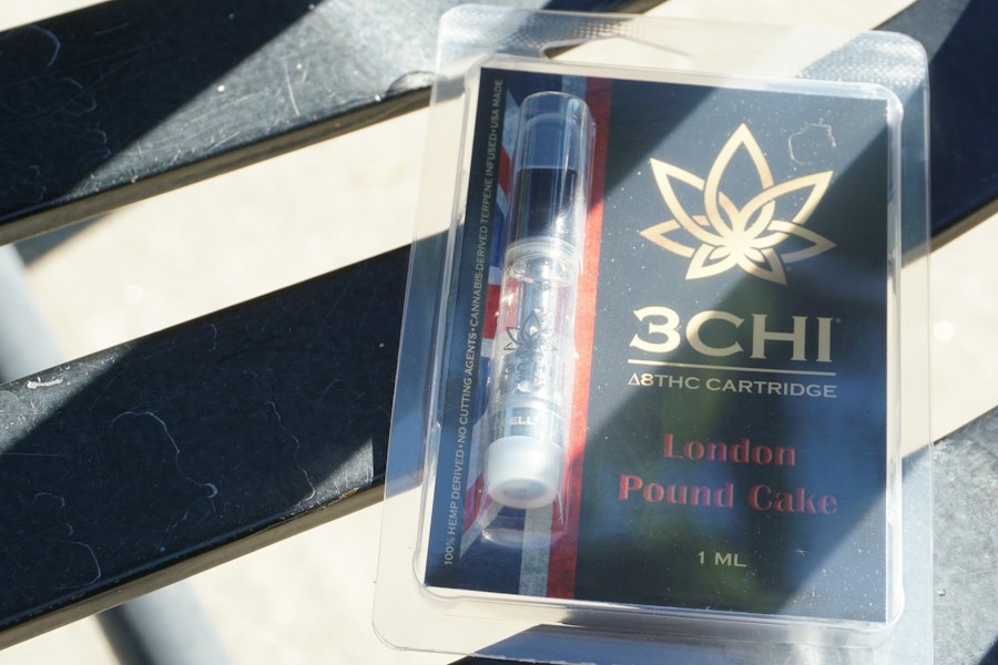 vape travel case